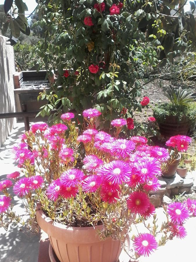 La Ninfea Bed and Breakfast Valderice Esterno foto